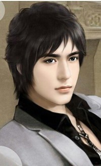 仕途兵王 作者：鳳凌苑