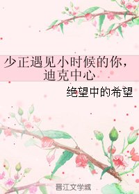 （少年正义联盟同人）少正遇见小时候的你，迪克中心