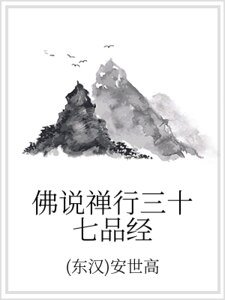 佛说禅行三十七品经