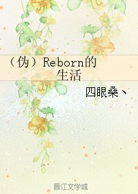 （综漫同人）（伪）Reborn的生活