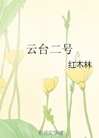 云台二号