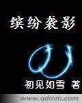 缤纷袭影