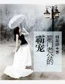 豪门老公的霸宠