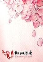 斗破苍穹2