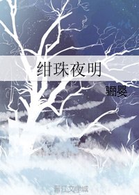 绀珠夜明
