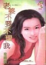 老婆不要不理我（风谷传奇系列之一）