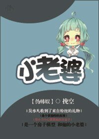 （伪韩娱同人）小老婆