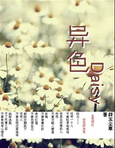 《异色Daisy》