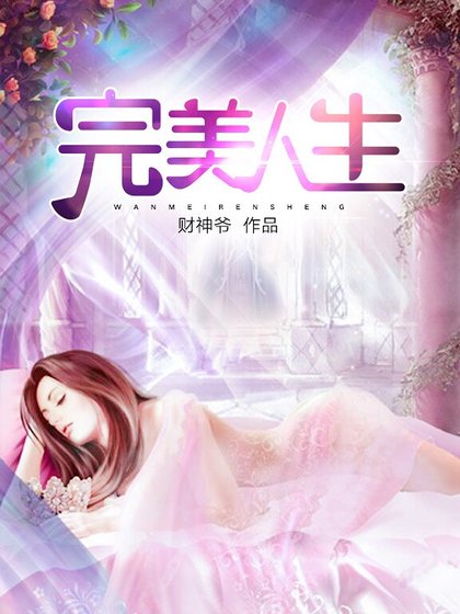 完美人生