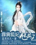 霹雳狐妃魅丑王