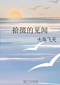 《拾掇的见闻》