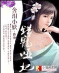 《错宠哑妃》