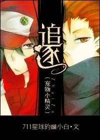 （宠物小精灵同人）追逐