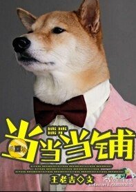当当当铺