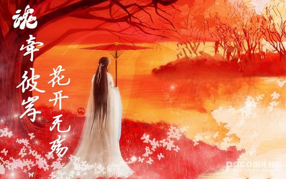魂牽彼岸，花開無殤