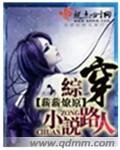 （BG/综同人）综穿小说路人