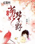 吾家萌妃路子野 