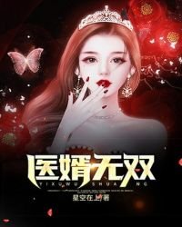 《医婿无双》