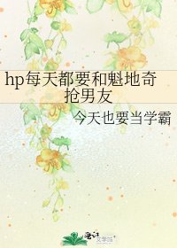 hp每天都要和魁地奇抢男友