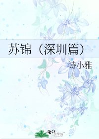 苏锦（深圳篇）