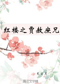 《红楼之贾赦庶兄》