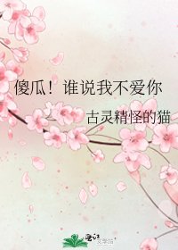 傻瓜！谁说我不爱你