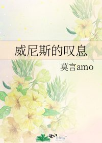 《威尼斯的叹息》