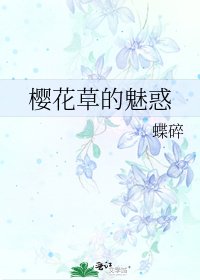 樱花草的魅惑