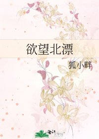 欲望北漂