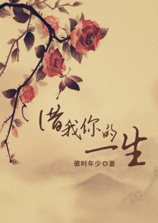 借我你的一生