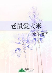 《老鼠爱大米》
