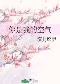 你是我的空气