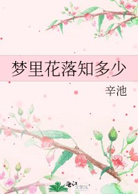 梦里花落知多少