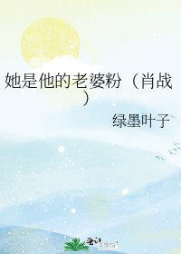 《她是他的老婆粉(肖战)》