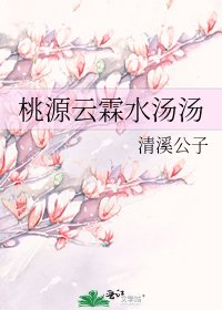 桃源云霖水汤汤