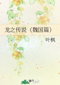 龙之传说（魏国篇）