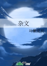 杂文