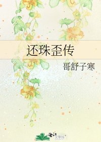 还珠歪传
