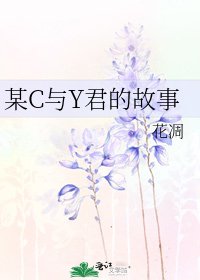 某C与Y君的故事