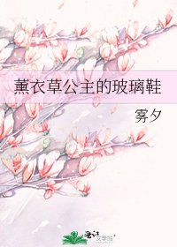 《薰衣草公主的玻璃鞋》