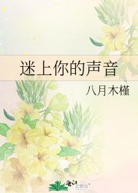 迷上你的声音