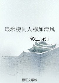 （BG/琅琊榜同人）琅琊榜同人穆如清风
