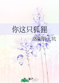 你这只狐狸