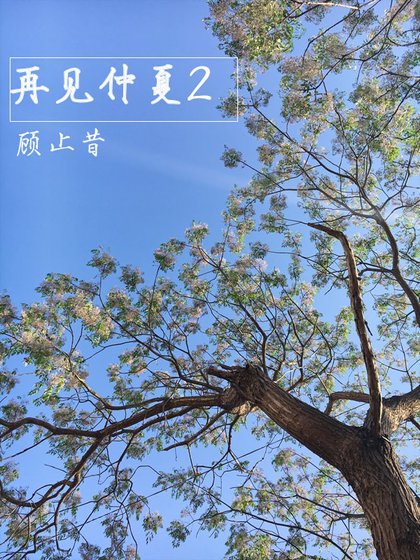 再见仲夏2