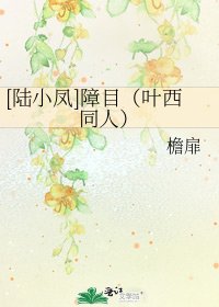 [陆小凤]障目（叶西同人）