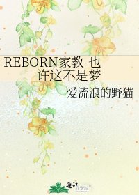REBORN家教-也许这不是梦