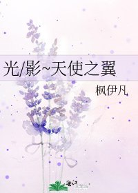 《光/影~天使之翼》