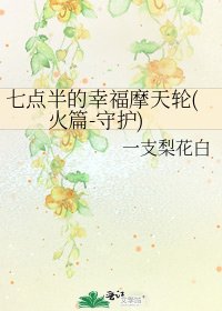 七点半的幸福摩天轮(火篇-守护)