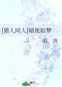 [猎人同人]暗夜如梦
