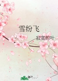 雪纷飞